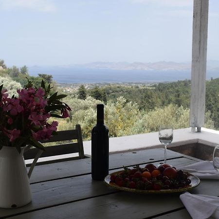 Παραδοσιακό Σπίτι Villa Asfendiou Ngoại thất bức ảnh